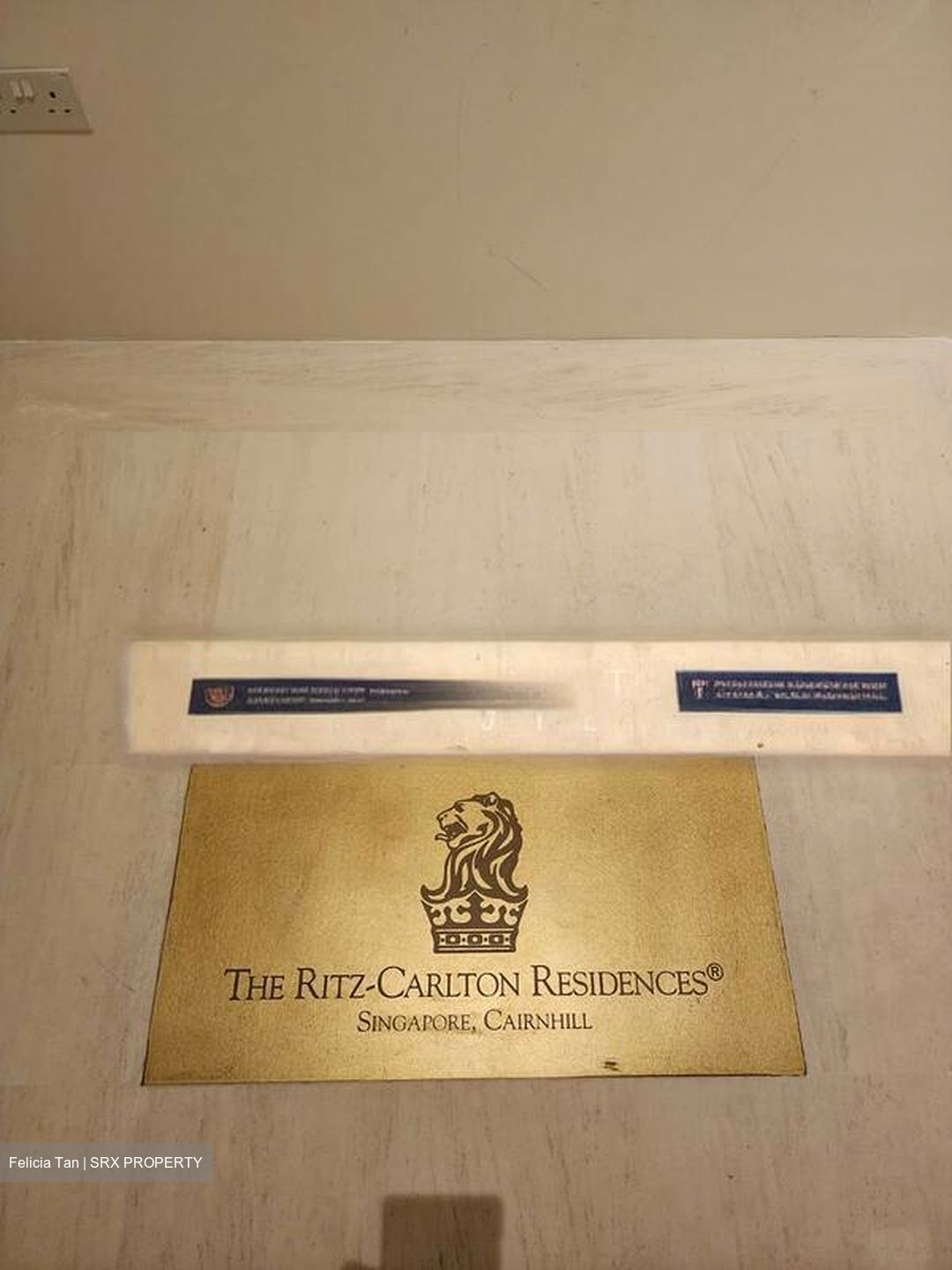 The Ritz-Carlton  (D9), Condominium #544540111